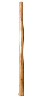 Natural Finish Didgeridoo (TW1444)
